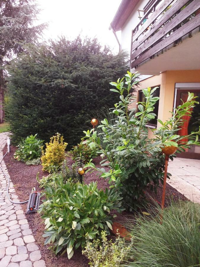 Ferienwohnung Im Rottal Oberrot المظهر الخارجي الصورة